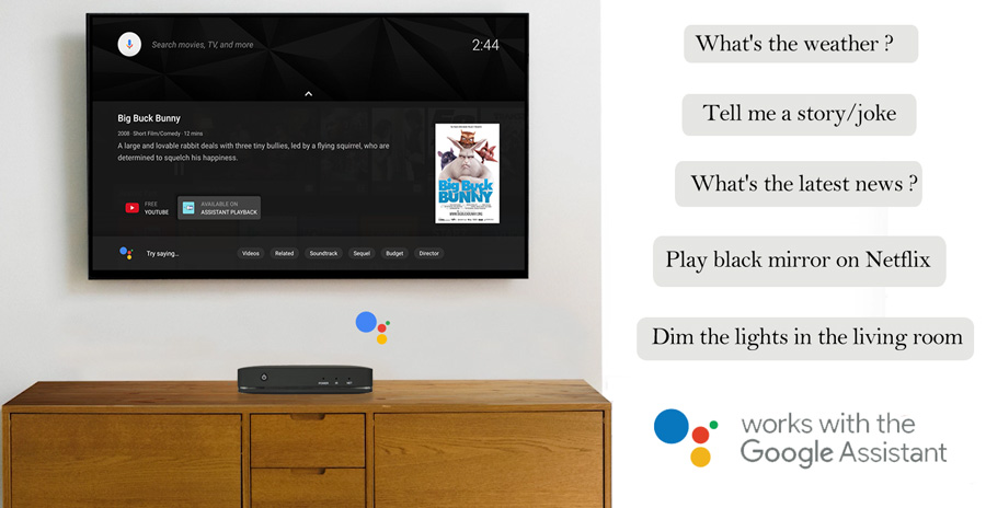 Android TV Box Google Assistant Built-in