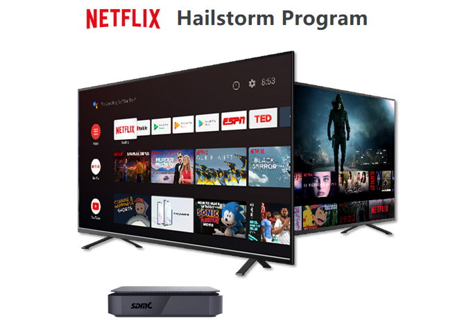 What’s Netflix Hailstorm Program