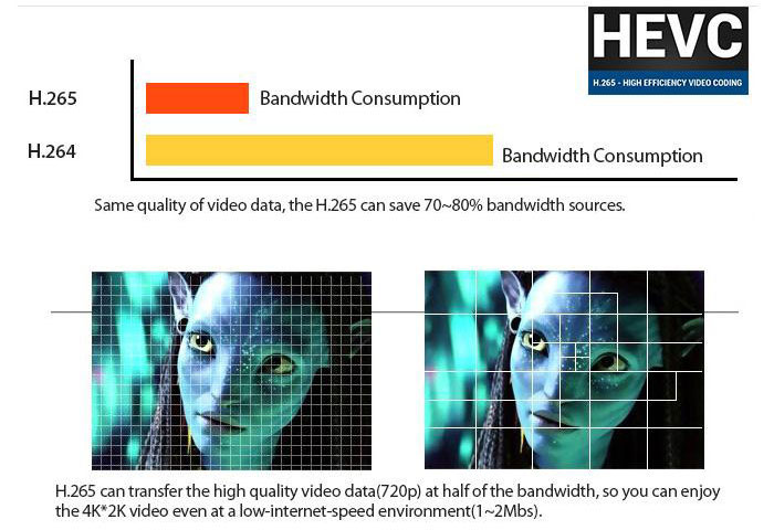 Image analysis of H.265 and H.264 video